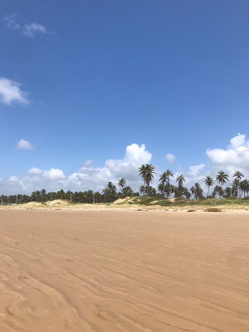800x1066 Atalaia Beach