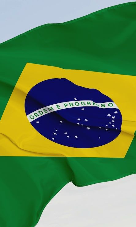 444x740 Sergipe Brazil Origional Flag Photo Free High Quality Picture