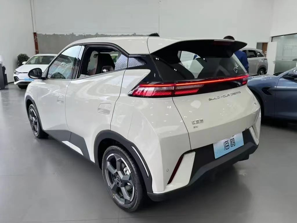 1024x768 BYD Seagull on display rear