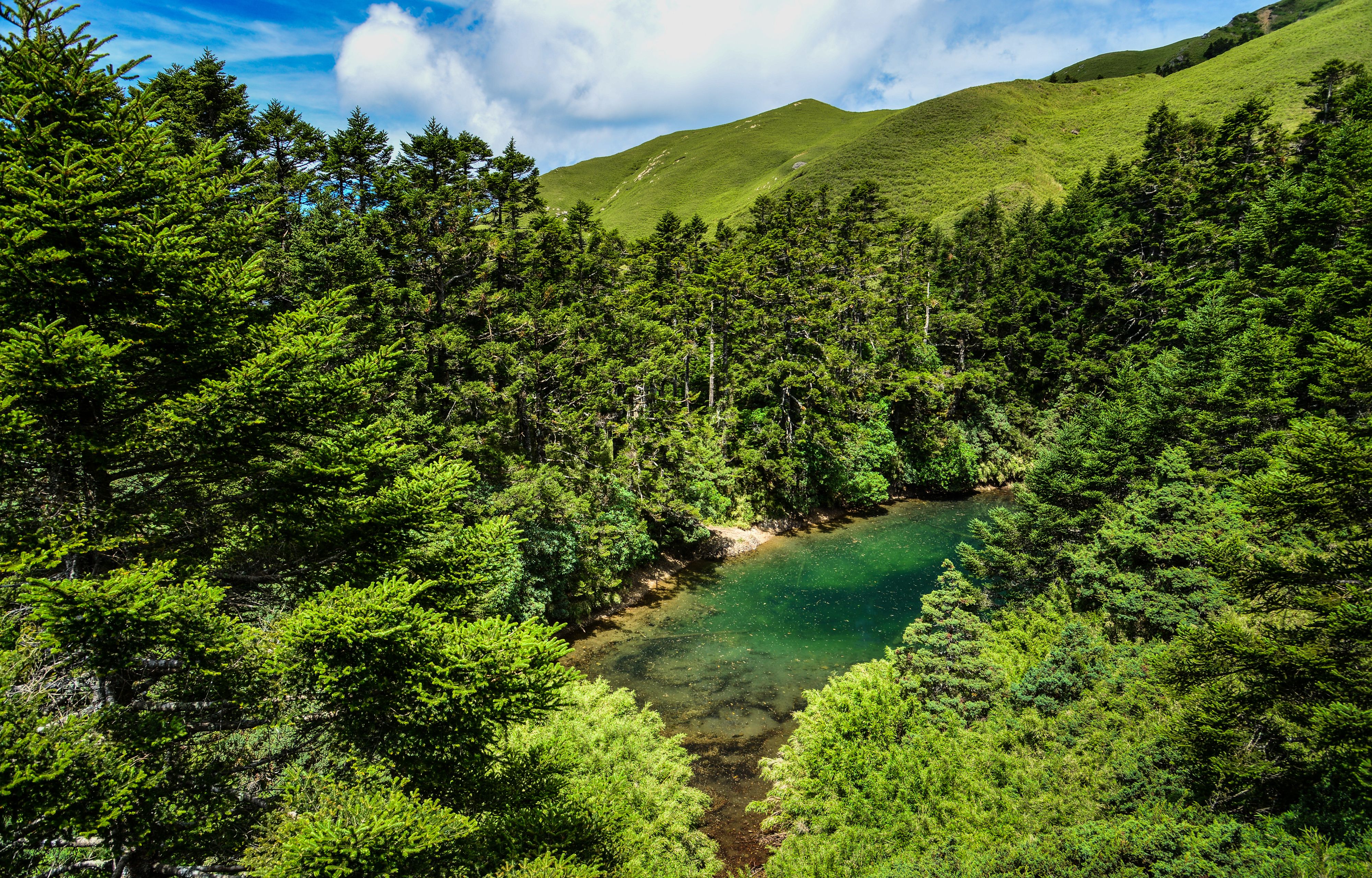 4000x2560 Wallpaper Green Trees on Mountain Under Blue Sky During Daytime, Background Free Image