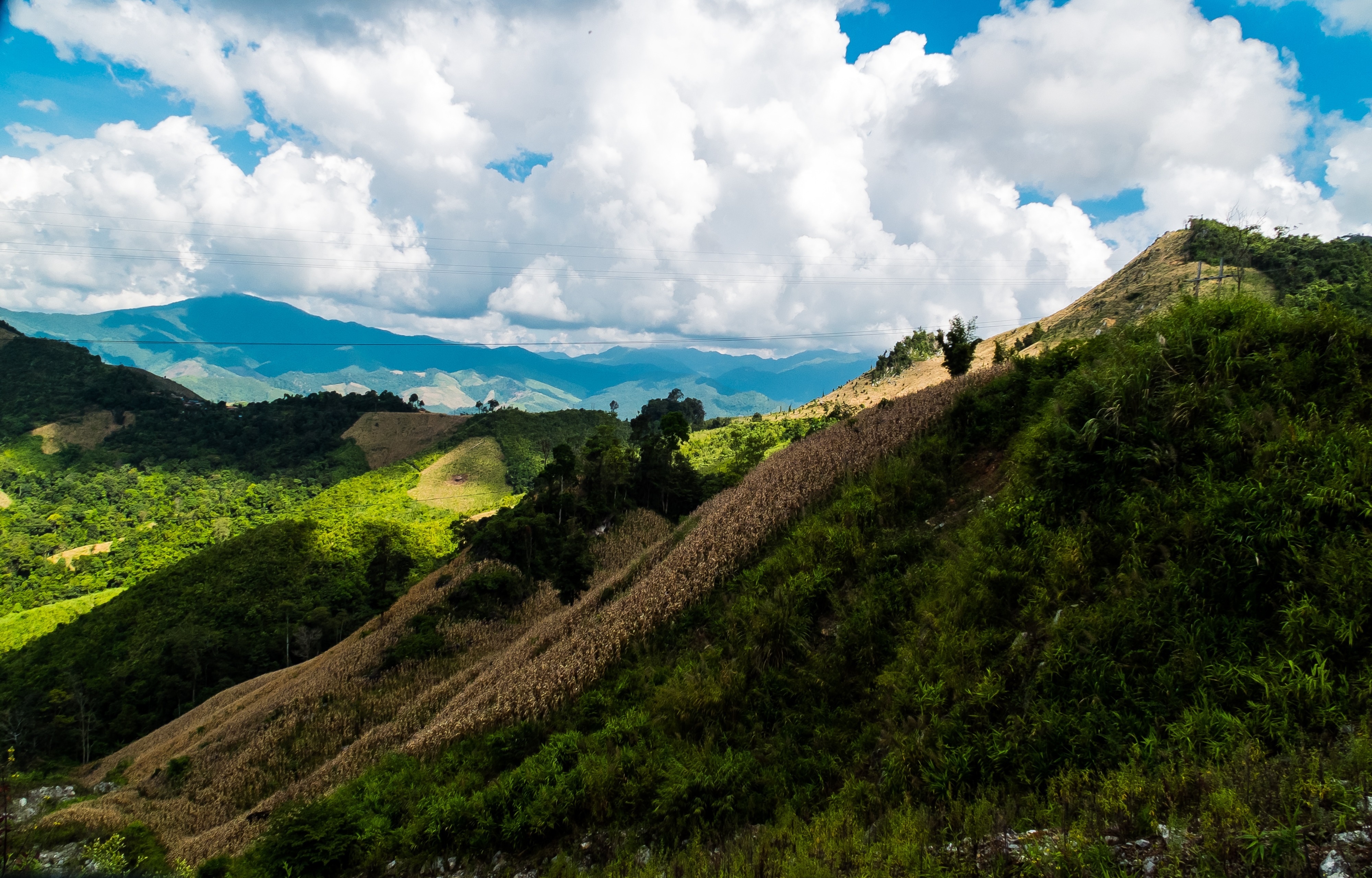 4000x2560 panoramic photo of green mountain and grass field free image
