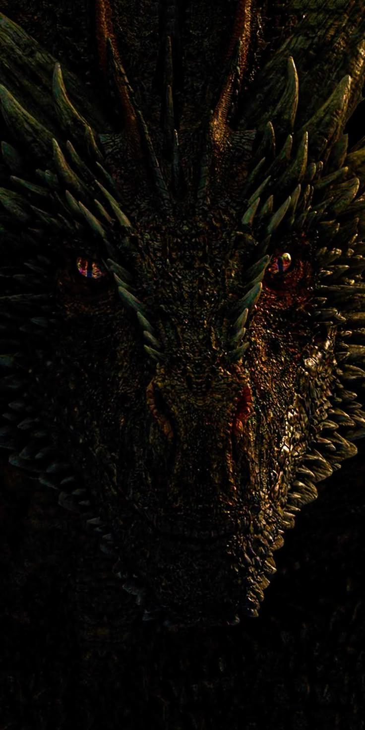 736x1472 House of the Dragon Wallpaper