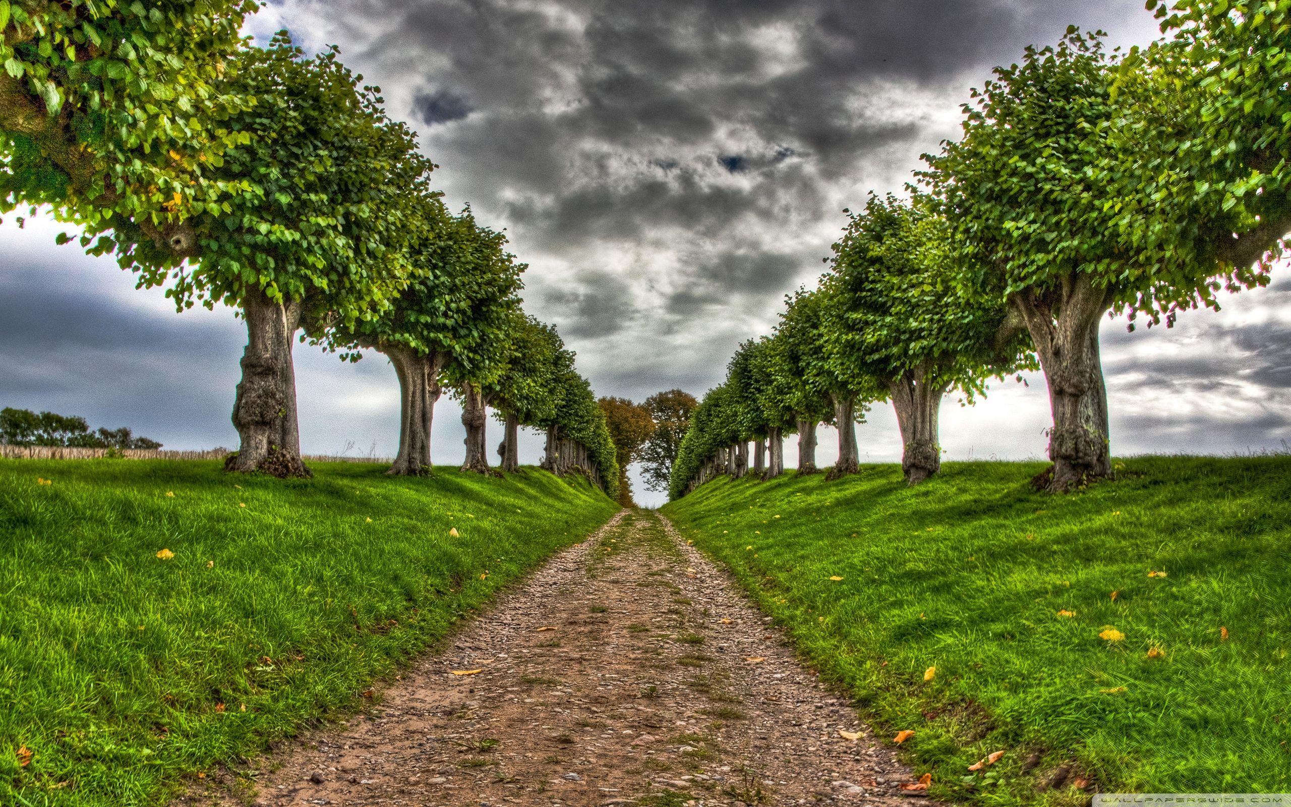 2560x1600 Wallpaper HD Nature Widescreen
