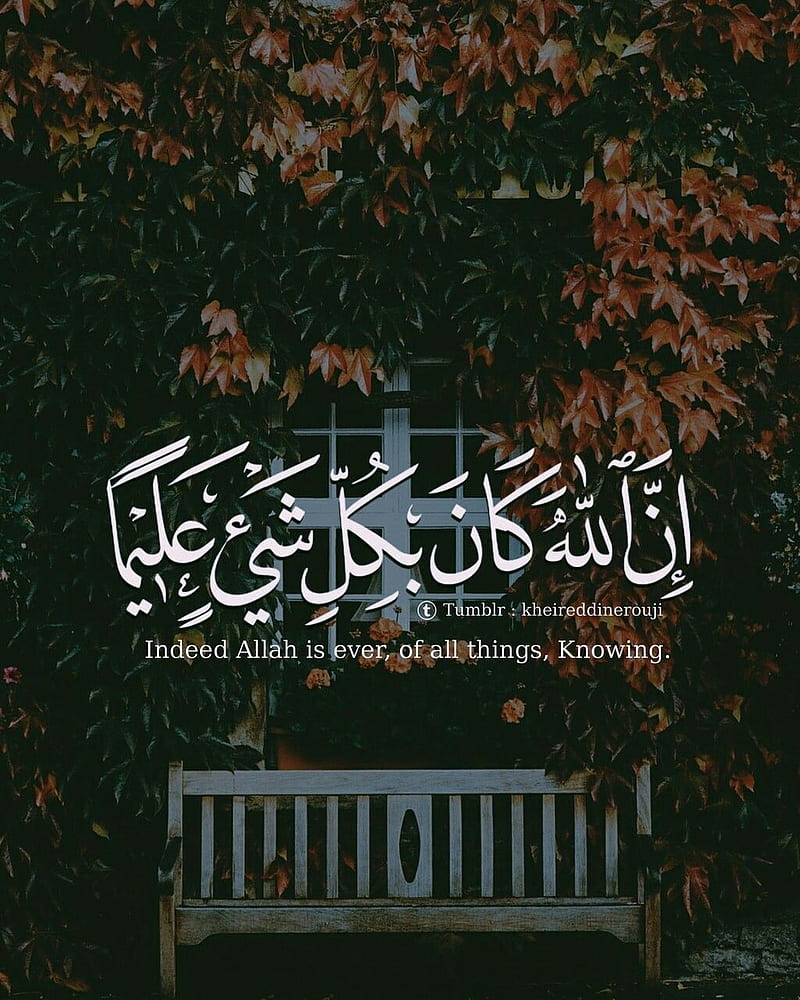 800x1000 Quran Verses, HD phone wallpaper
