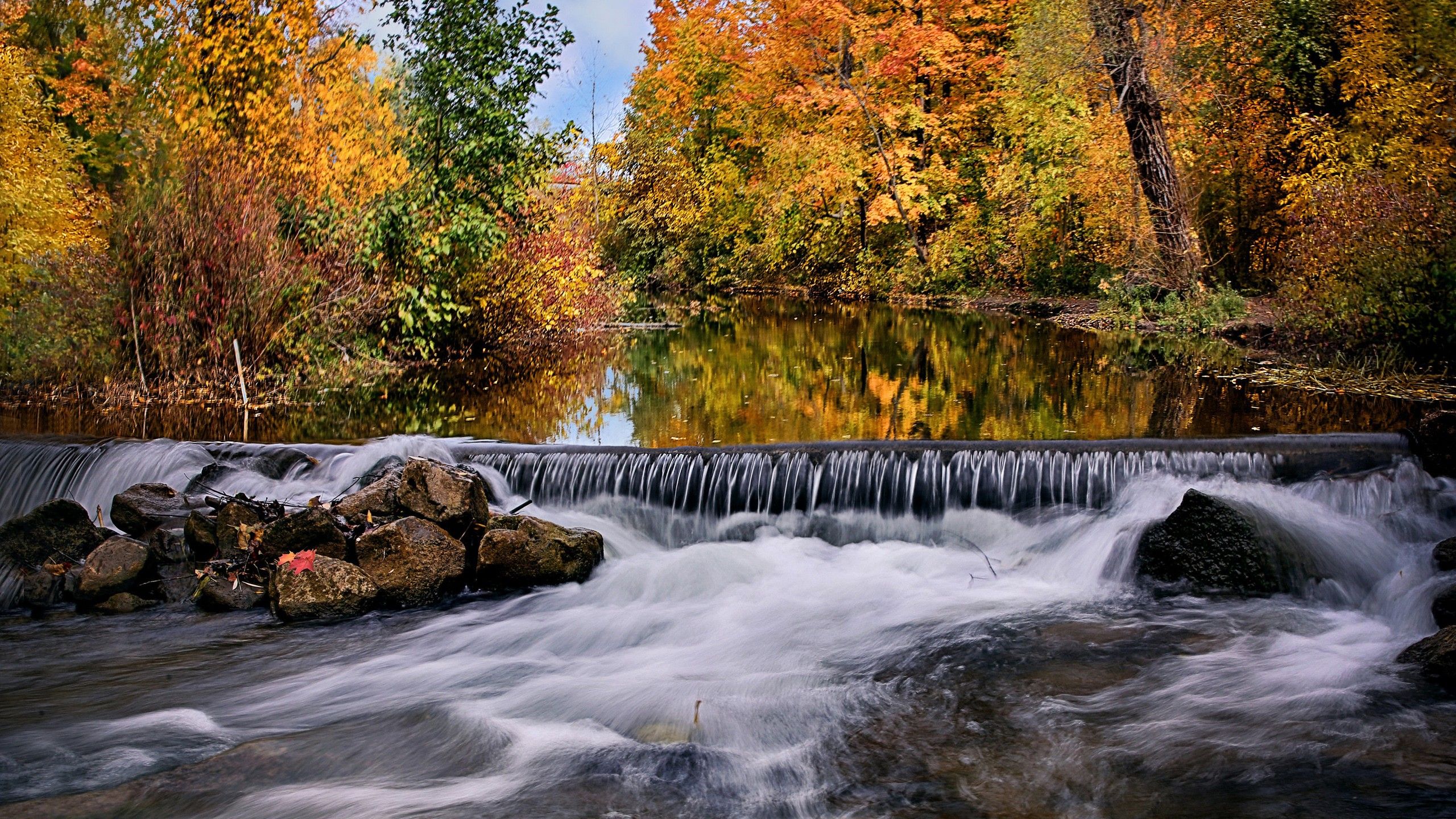 2560x1440 Canada Forest And Ontario River During Fall HD Nature Wallpaper