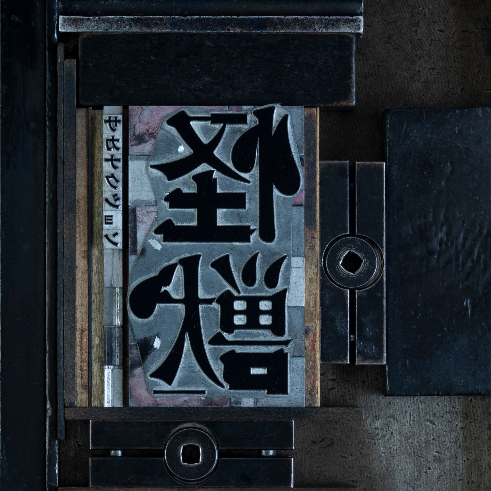 1600x1600 NEWS. SAKANACTION official website
