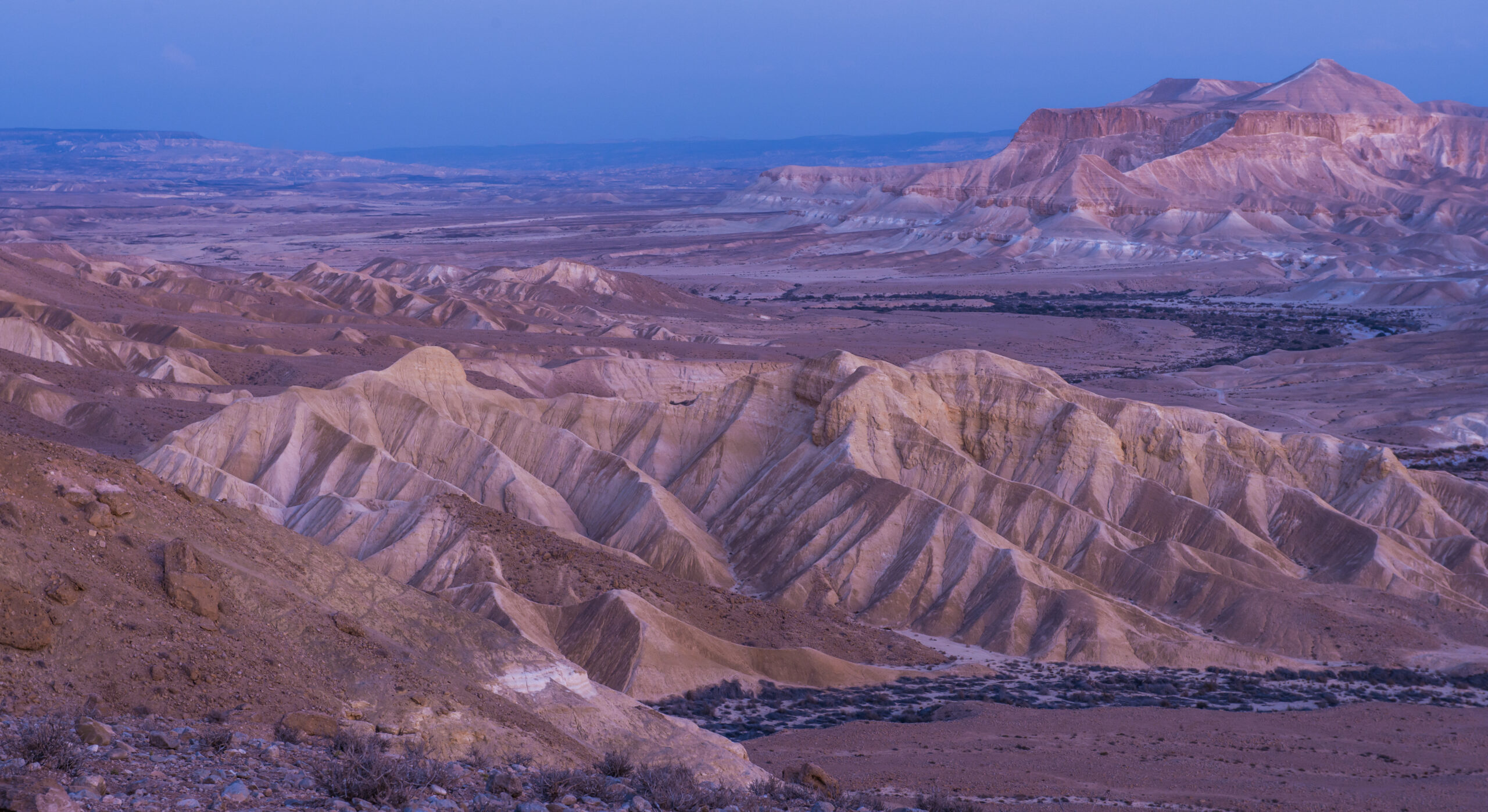 2560x1397 BGU's DeserTech Aims to Bring Climate Technology to UAE
