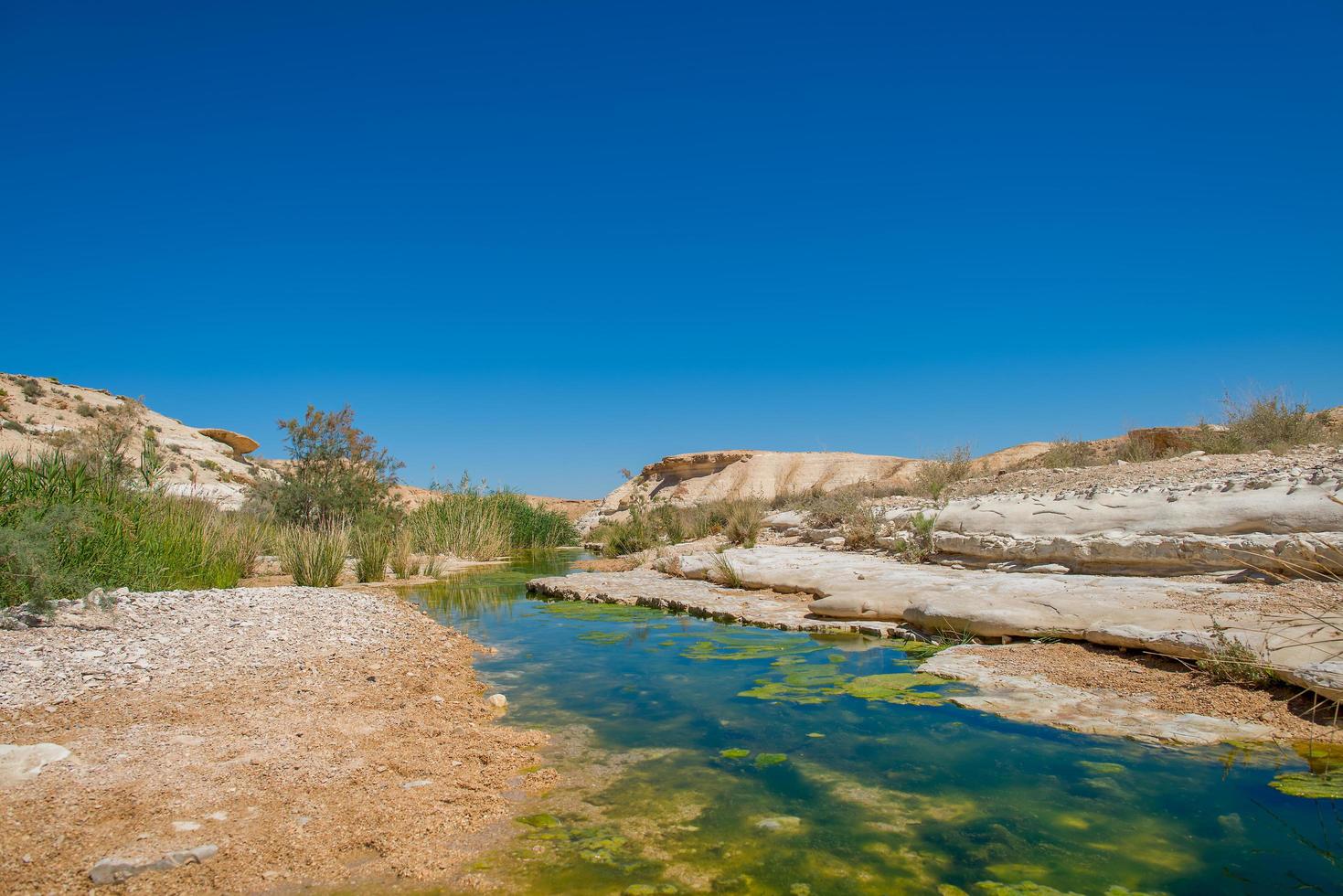 1469x980 Water in the desert of Negev, Israel