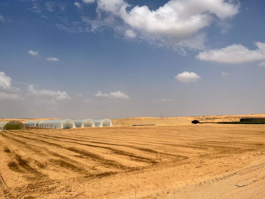 1024x768 Climate adaptation: Lessons from Israel's Negev Desert