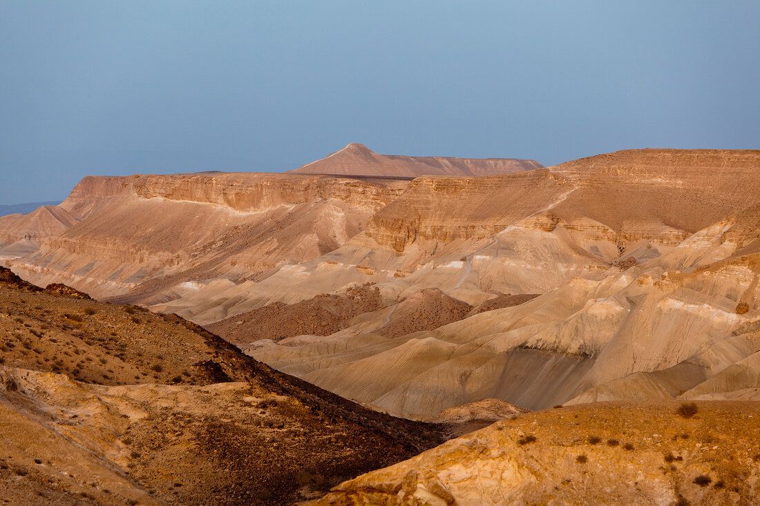 1100x733 View of Wadi Hawarim in Negev, Israel