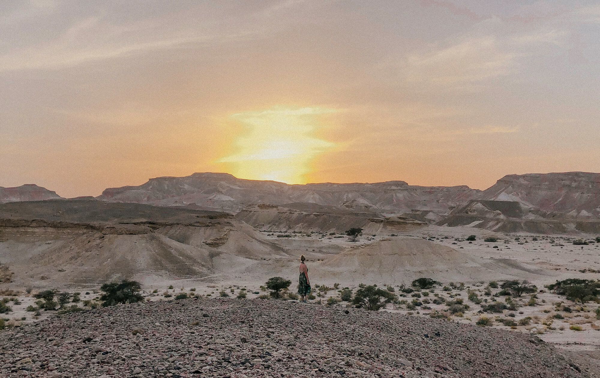 2000x1262 The call of the Negev Desert: the ultimate Israeli desert road trip Came An Elephant