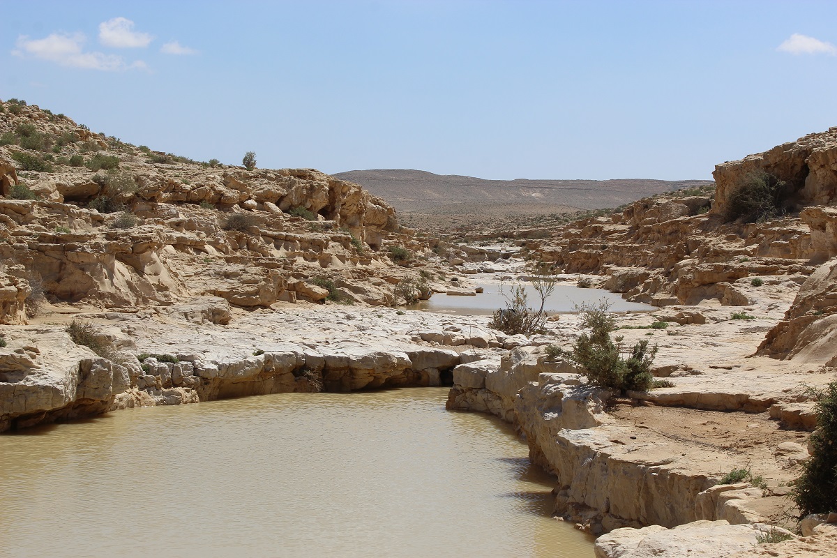 1200x800 Visiting the Negev in the Spring Local's Guide to the Negev Highlands