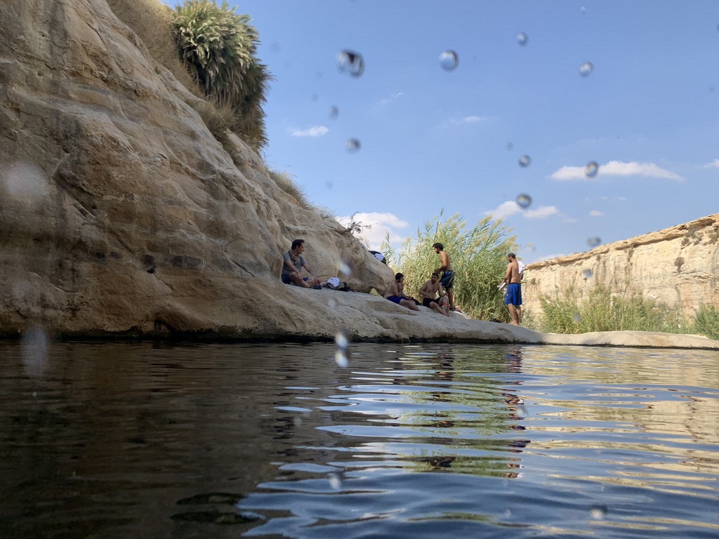 1024x768 Visiting the Negev in the Summer Local's Guide to the Negev Highlands