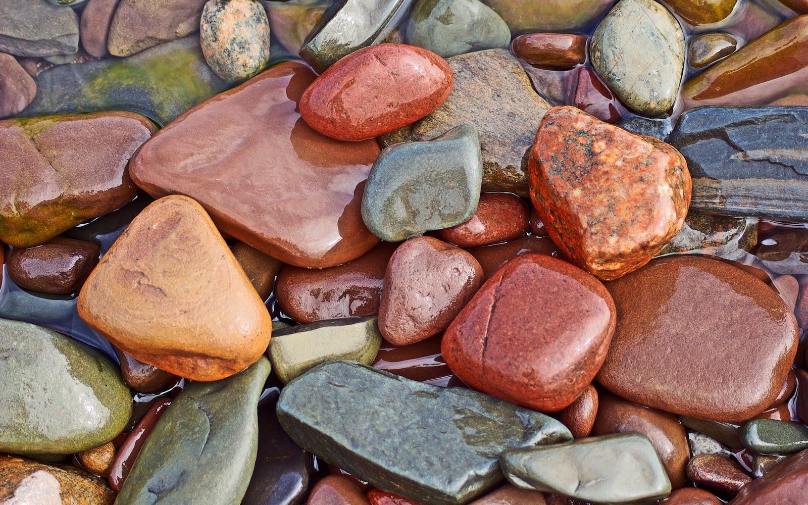 1600x1000 Nature wallpaper