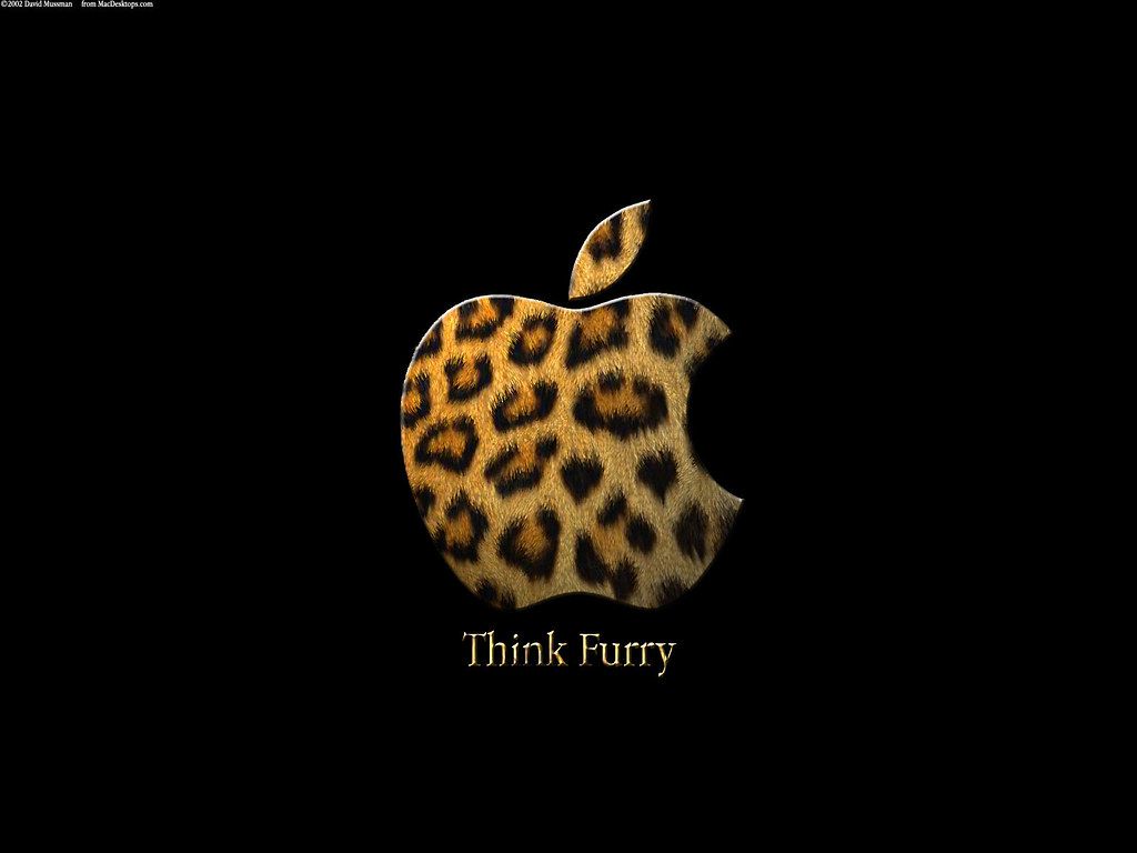 1024x768 Mac OS X Leopard Wallpaper