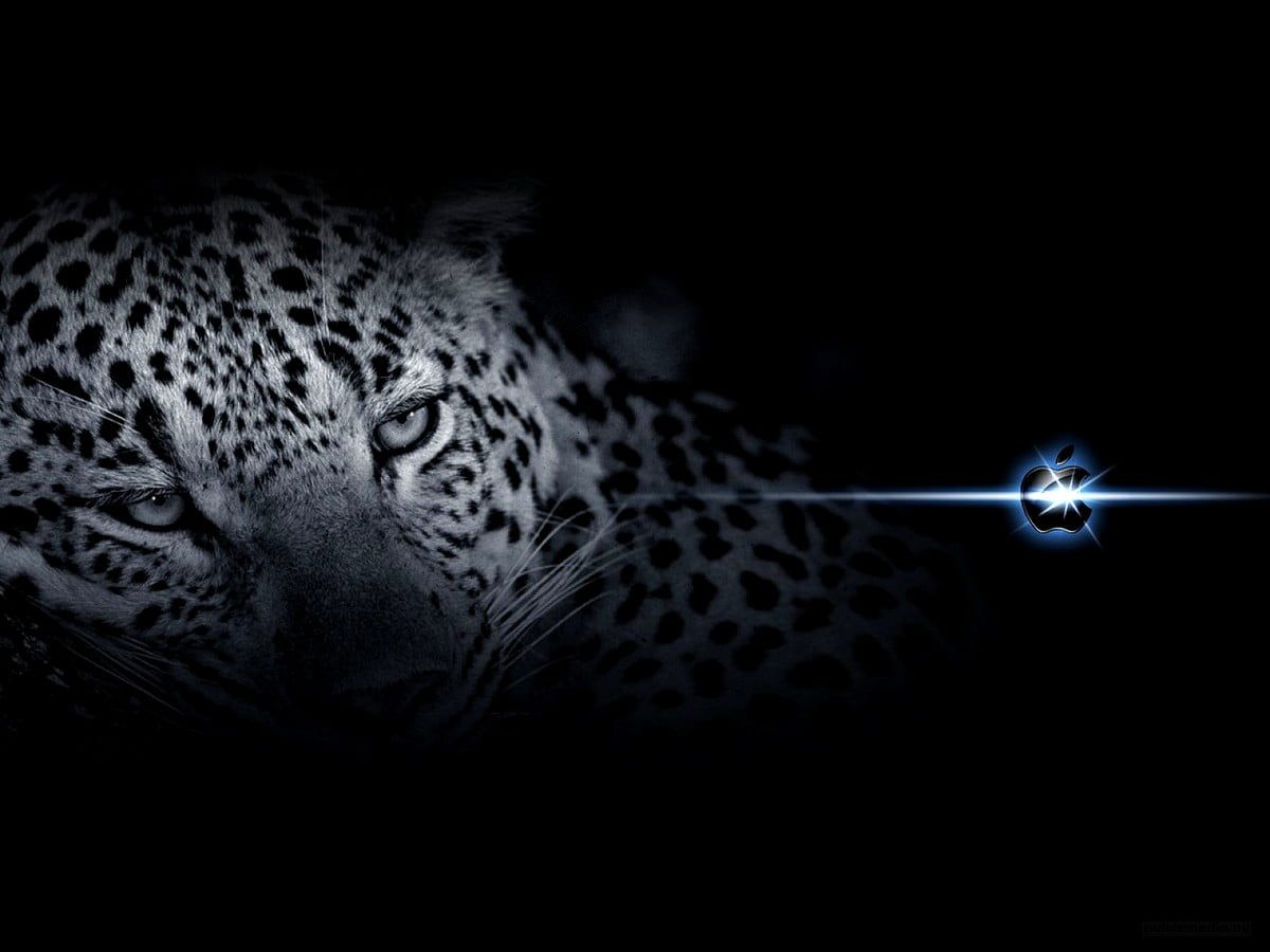 1200x900 Mac Os X Leopard, Black, Animals background. Best Free Download picture