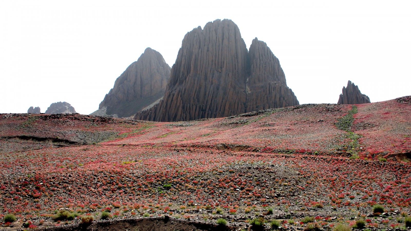 1600x900 Africa Algeria Desert Hoggar Mountains Landscape Rock Sahara Stone Tassili N'Ajjer 4K HD African Wallpaper