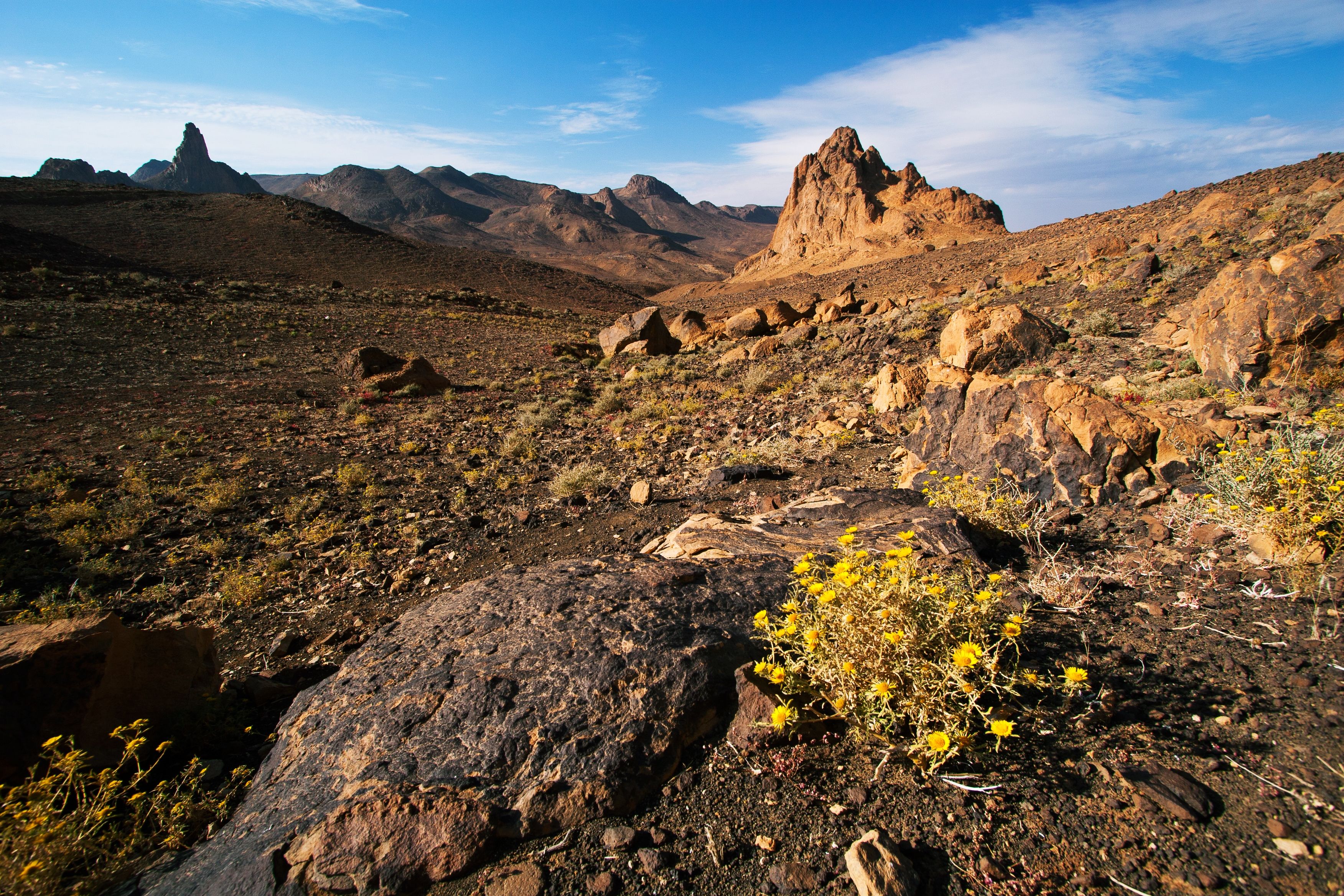 3504x2336 Tassili N'Ajjer & Hoggar Mountains: Sahara's Stunning Stone Desert Landscape in Algeriax2336