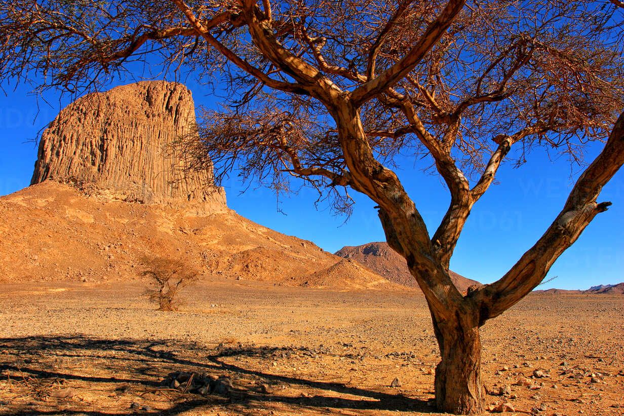 1232x821 Algeria, Wilaya Tamanrasset, Hoggar Mountains, view to Ihrem with tree in the foreground