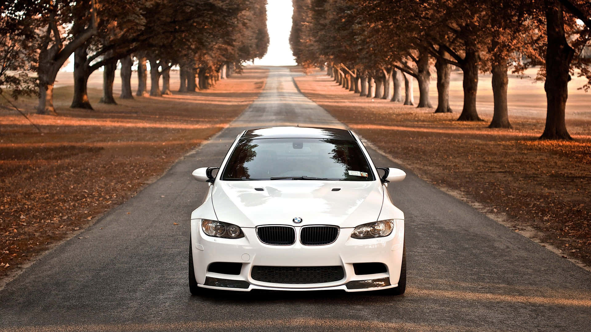 1920x1080 White Bmw Car On The Road Wallpaper