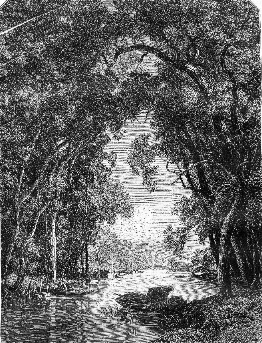 918x1200 Old river in jungle