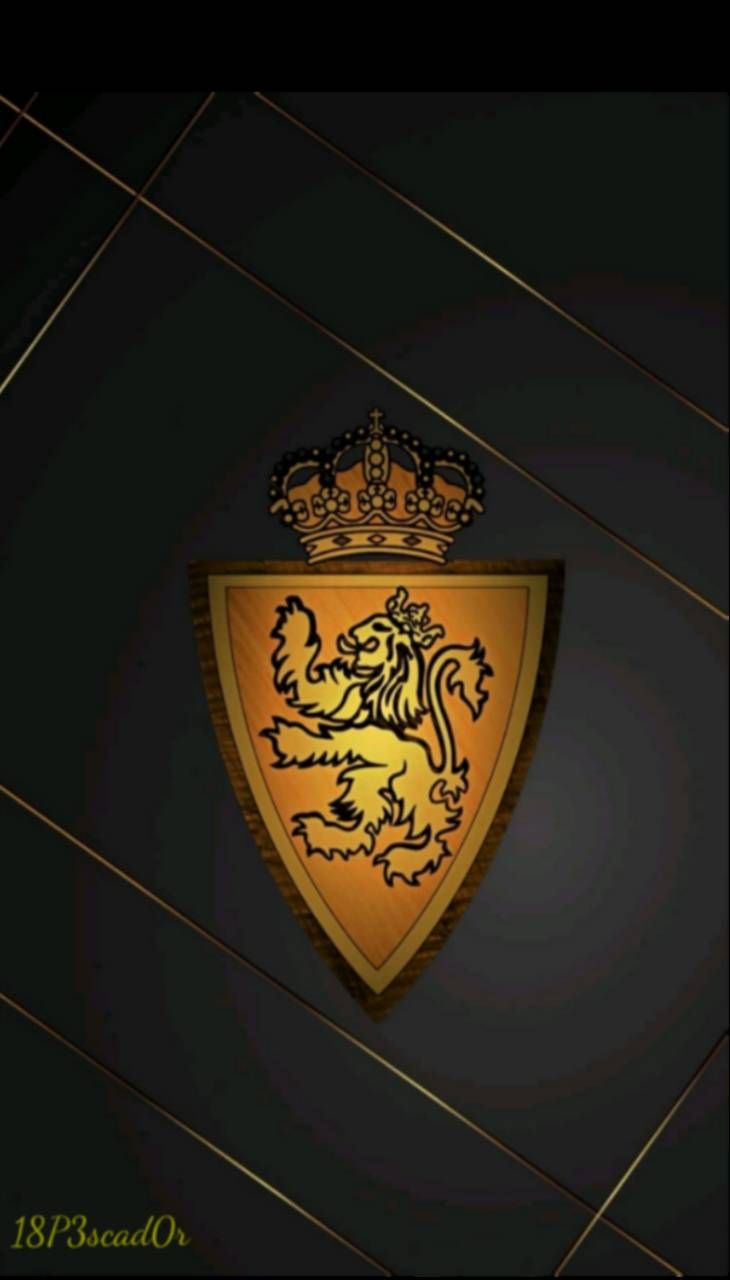 730x1280 Real Zaragoza wallpaper