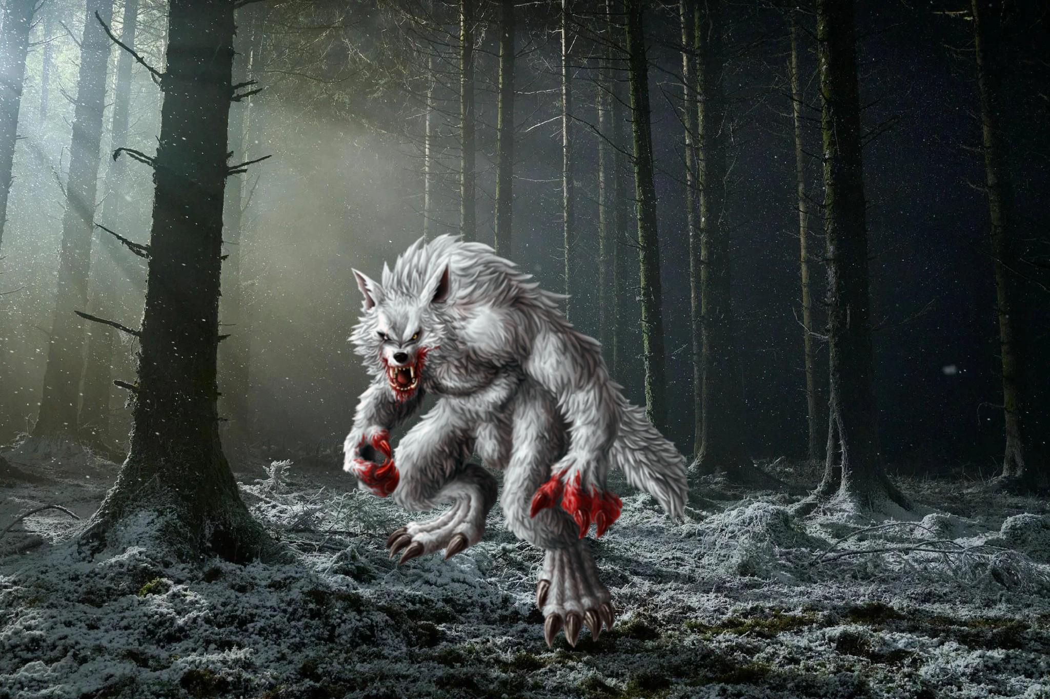 2048x1364 First image from Robert Eggers' Werwulf