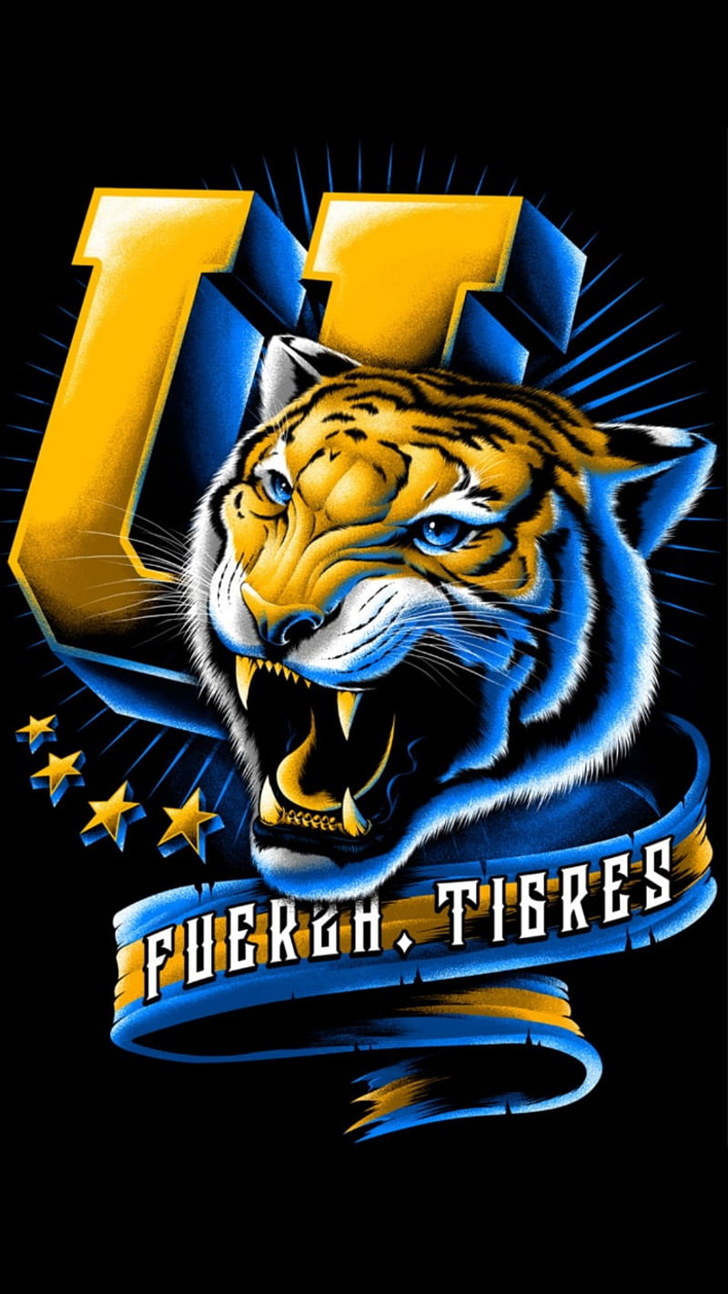 800x1422 Tigres UANL, felinos, incomparables, la u de nuevo leon, libresylokos, tiger, HD phone wallpaper