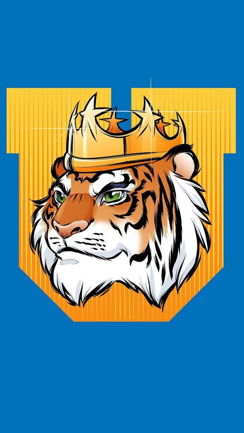 800x1422 Tigres UANL, elmascampeondenuevoleon, felinos, incomparables, la u de nuevo leon, HD phone wallpaper