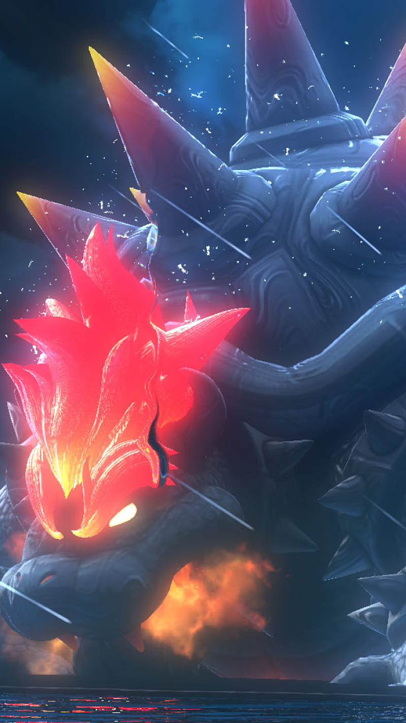800x1422 HD bowser fury wallpaper