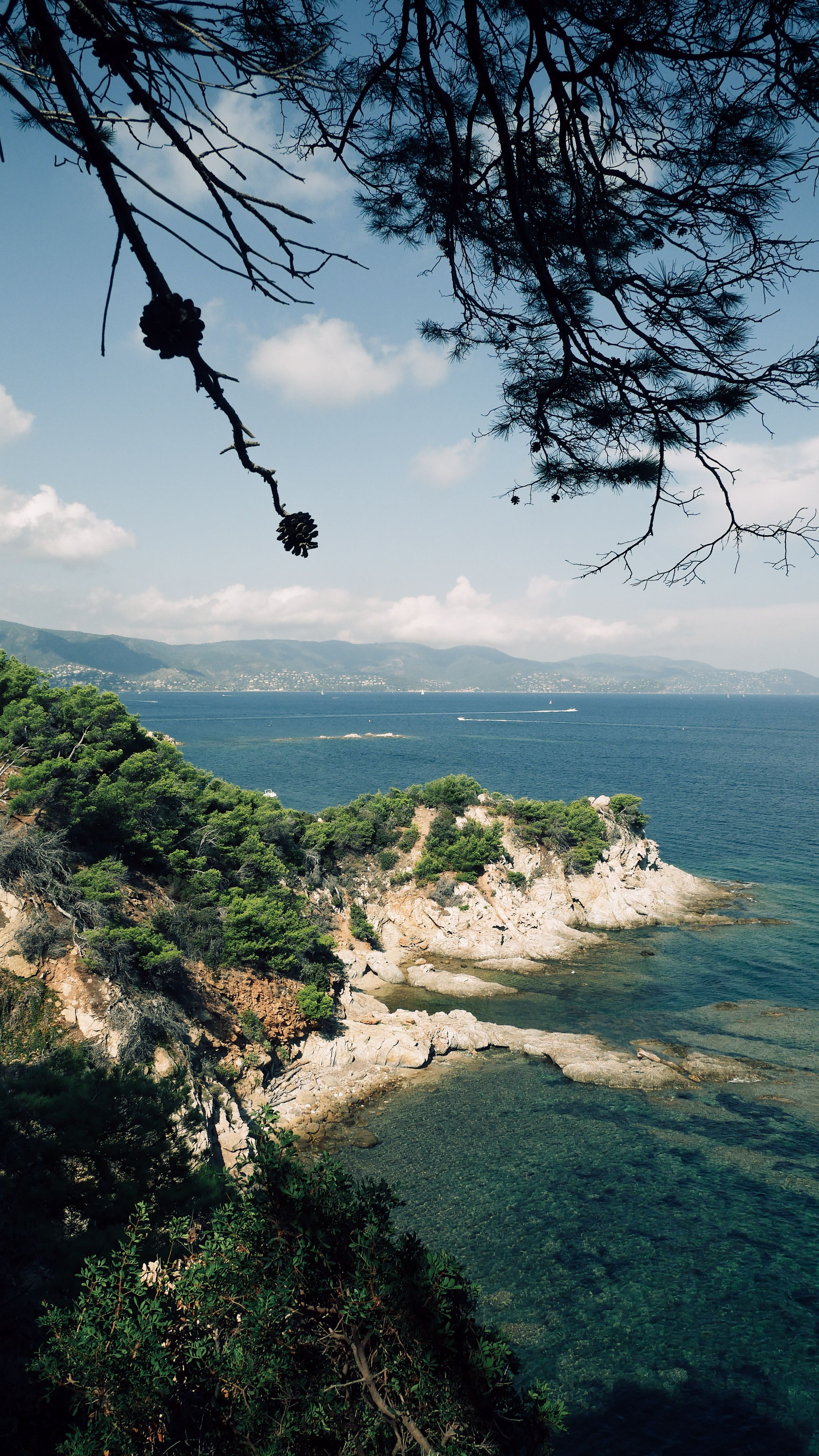 2574x4574 Trees and Rocks on Sea Shore · Free
