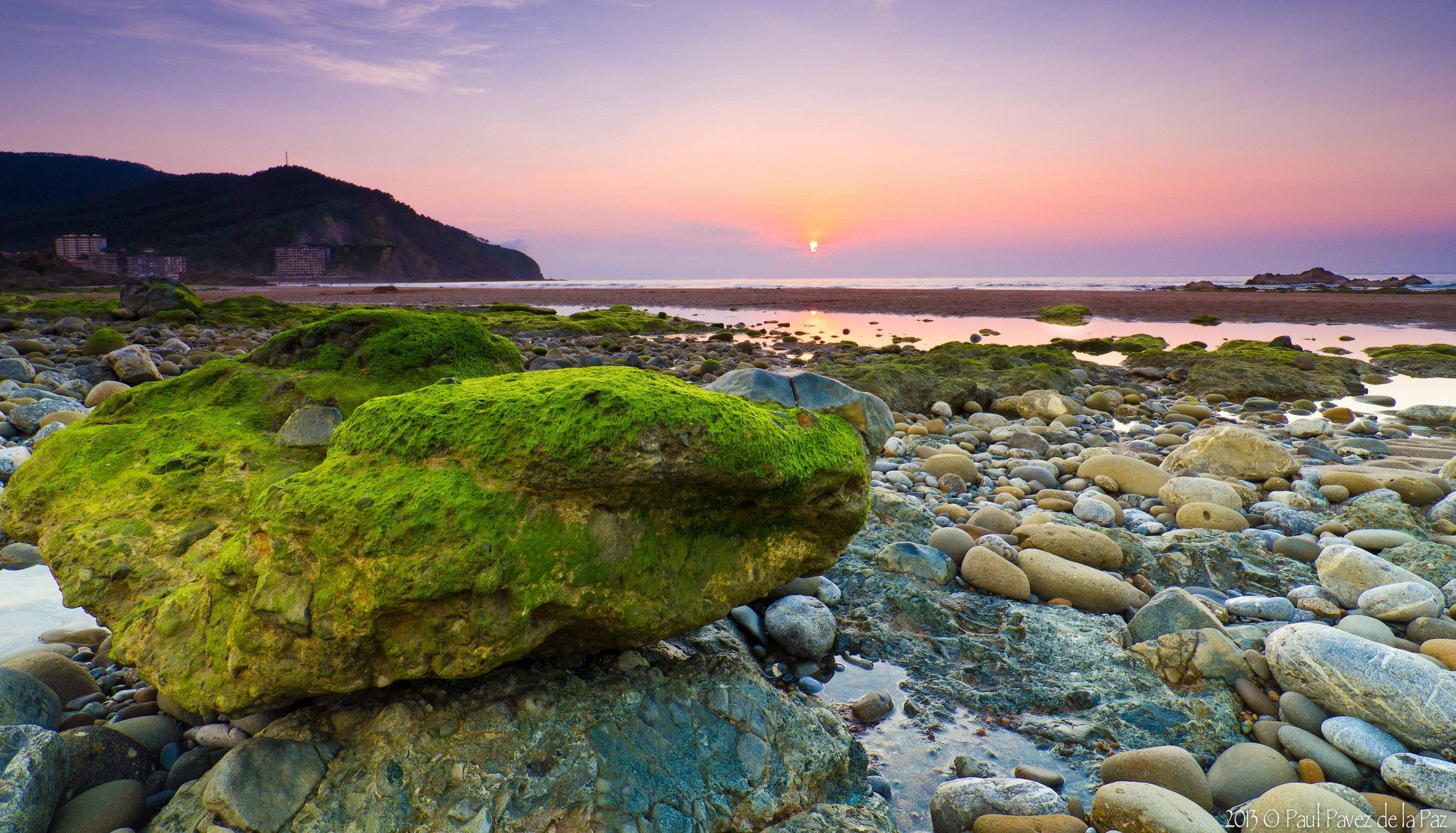 2048x1172 morning, Stones, Seaweed, Sea, Stone Wallpaper HD / Desktop and Mobile Background