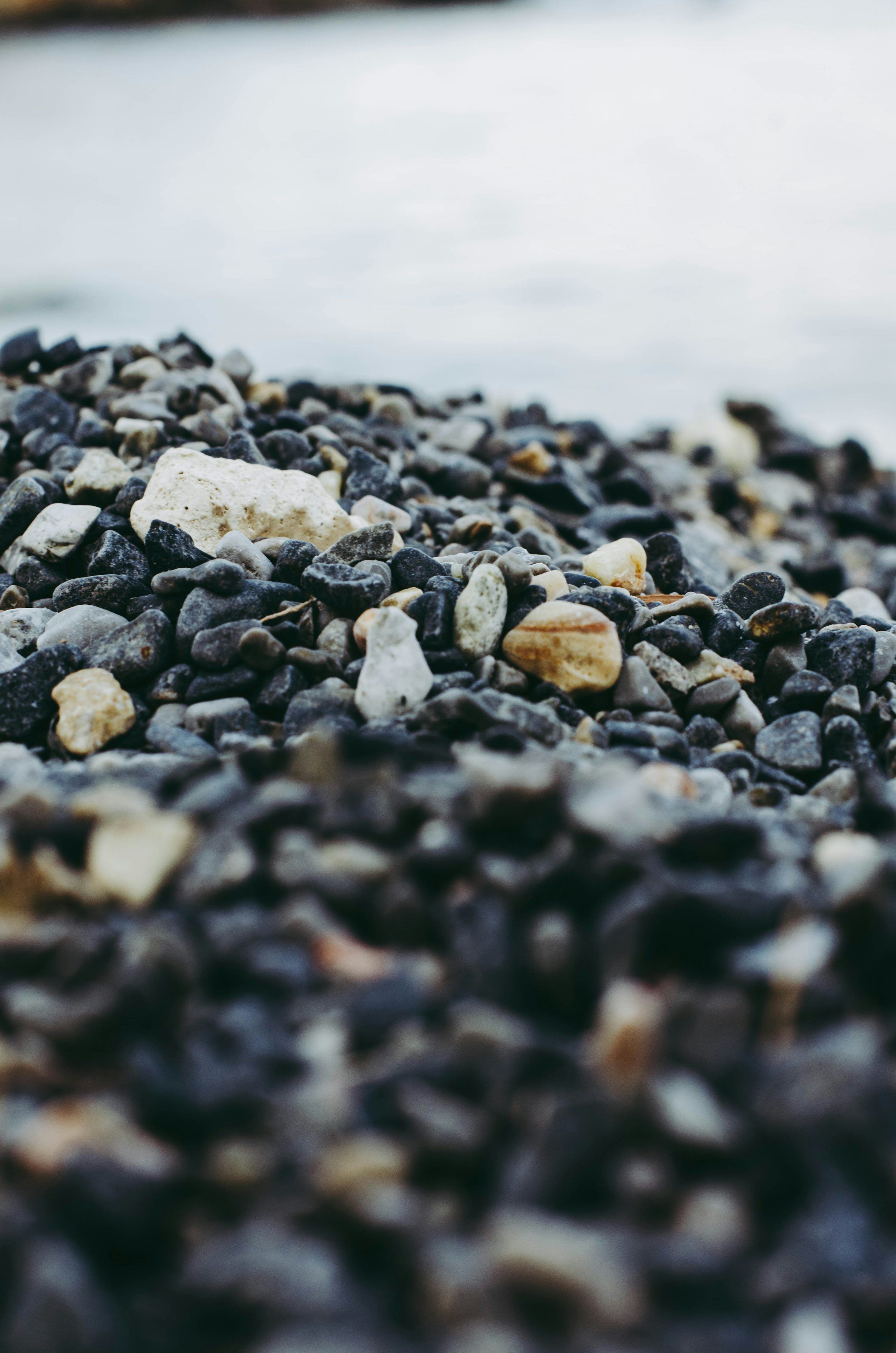 3000x4529 Sea Stone Picture. Download Free Image