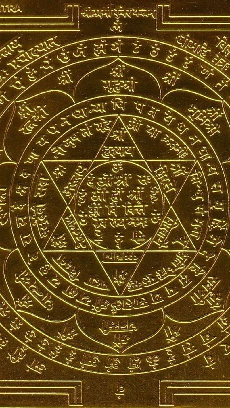 800x1422 Money Attract, Symbol Of Wealth, HD phone wallpaper