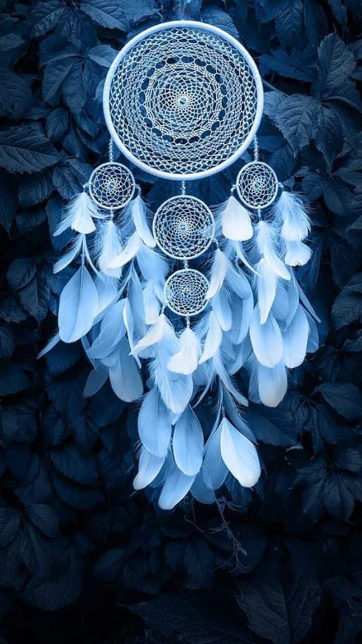 720x1280 Mobile Wallpaper Ideas To Attract Success And Prosperity