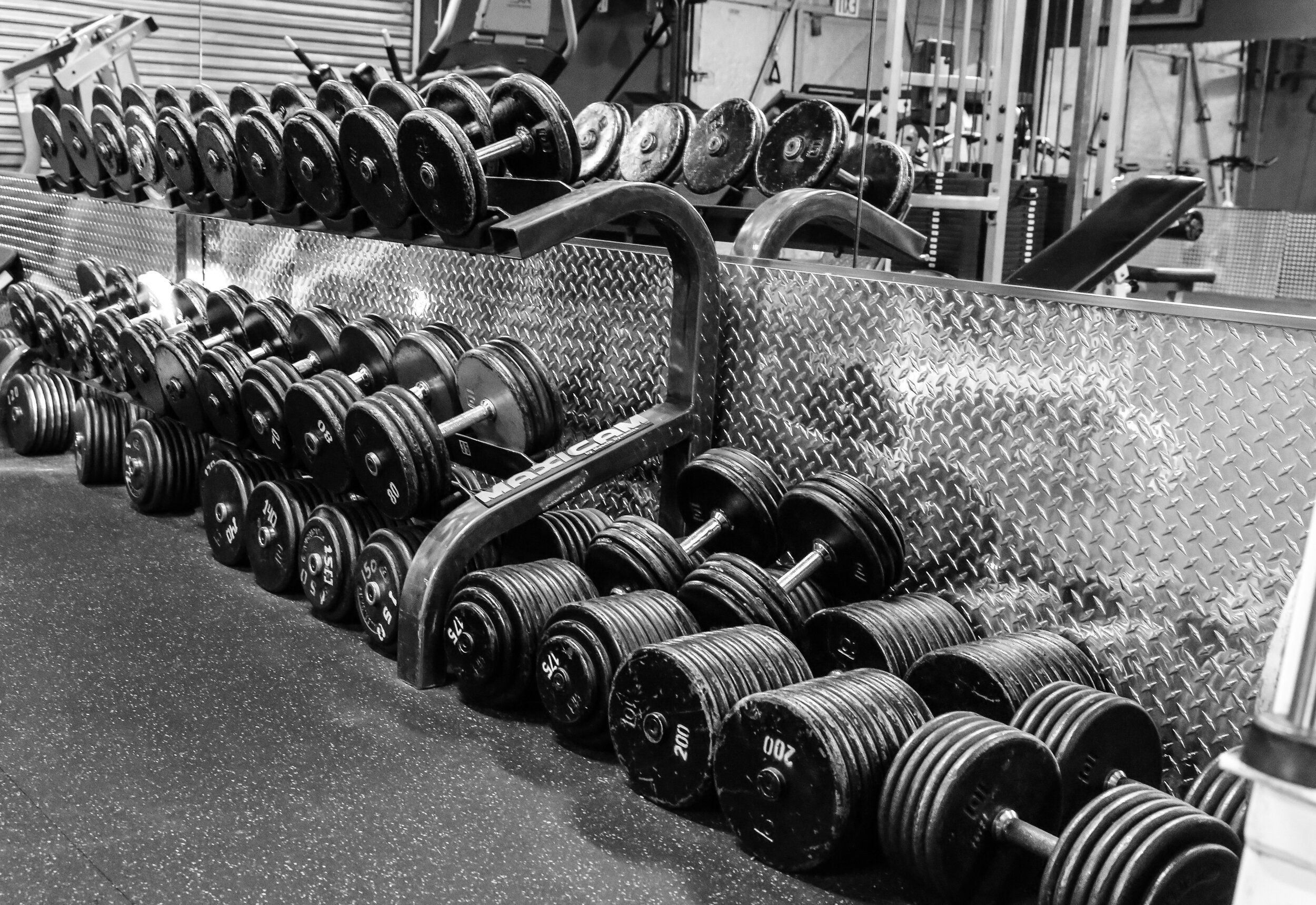 2500x1718 Bay Area Bodybuilding Academy. Dublin & Pleasanton Personal Training Gym