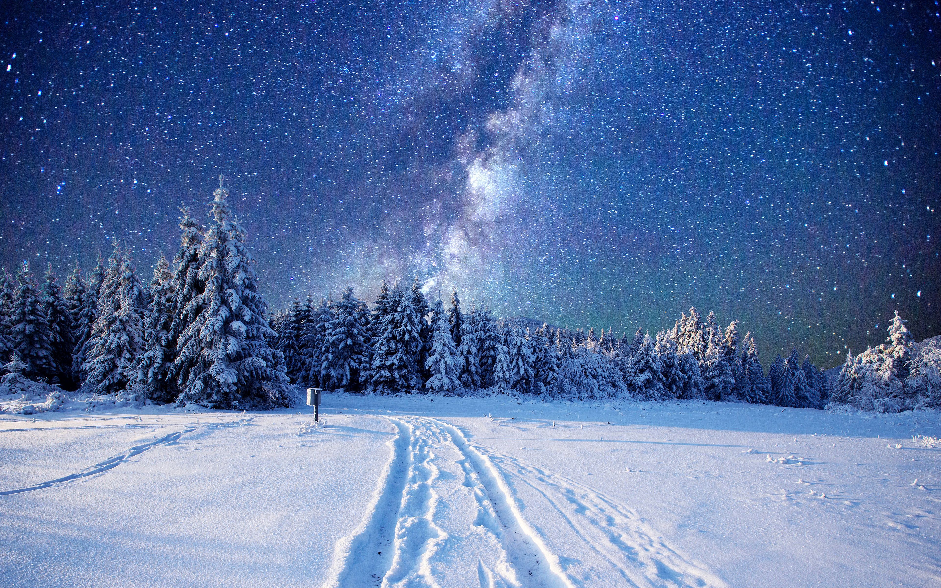 3840x2400 Winter Night Stars: 4K Ultra HD Forest Road Under the Milky Wayx2400