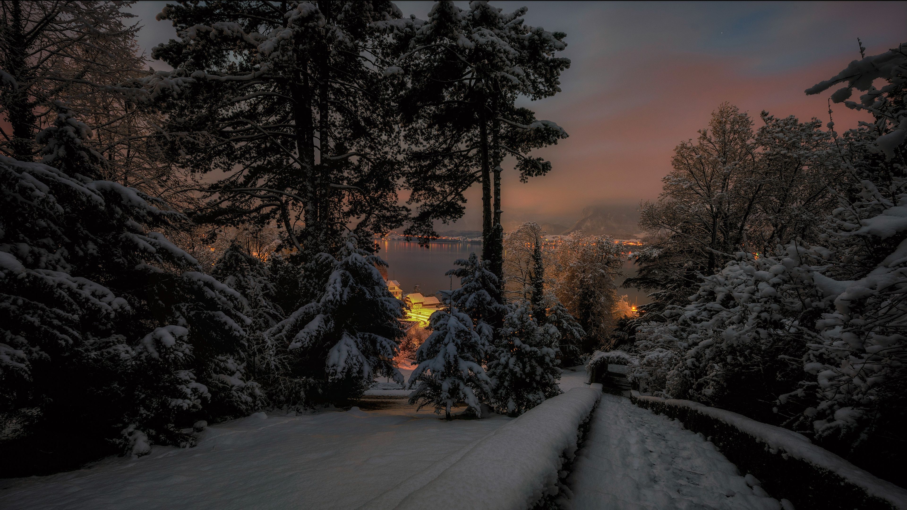 3840x2160 Winter Night Serenity: Snowy Pine Forest in 4K Ultra HDx2160