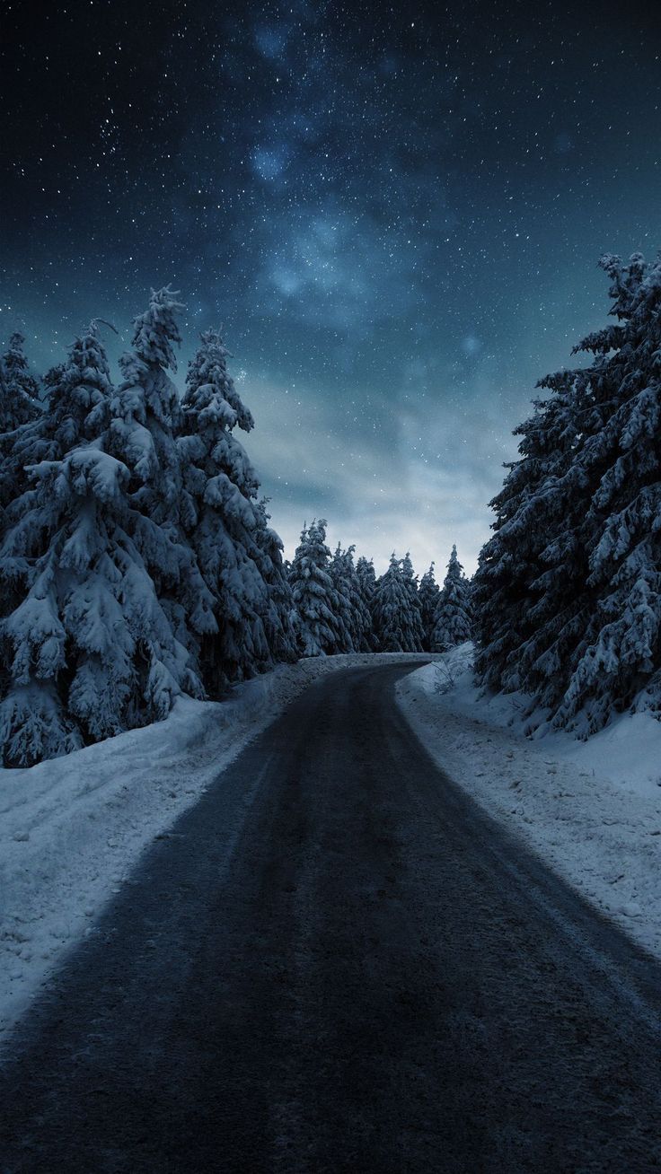 736x1308 Discover 34 wallpaper winter and snowy tree background 4k ideas. trees with snow wallpaper, winter forest night wallpaper, winter snow and more