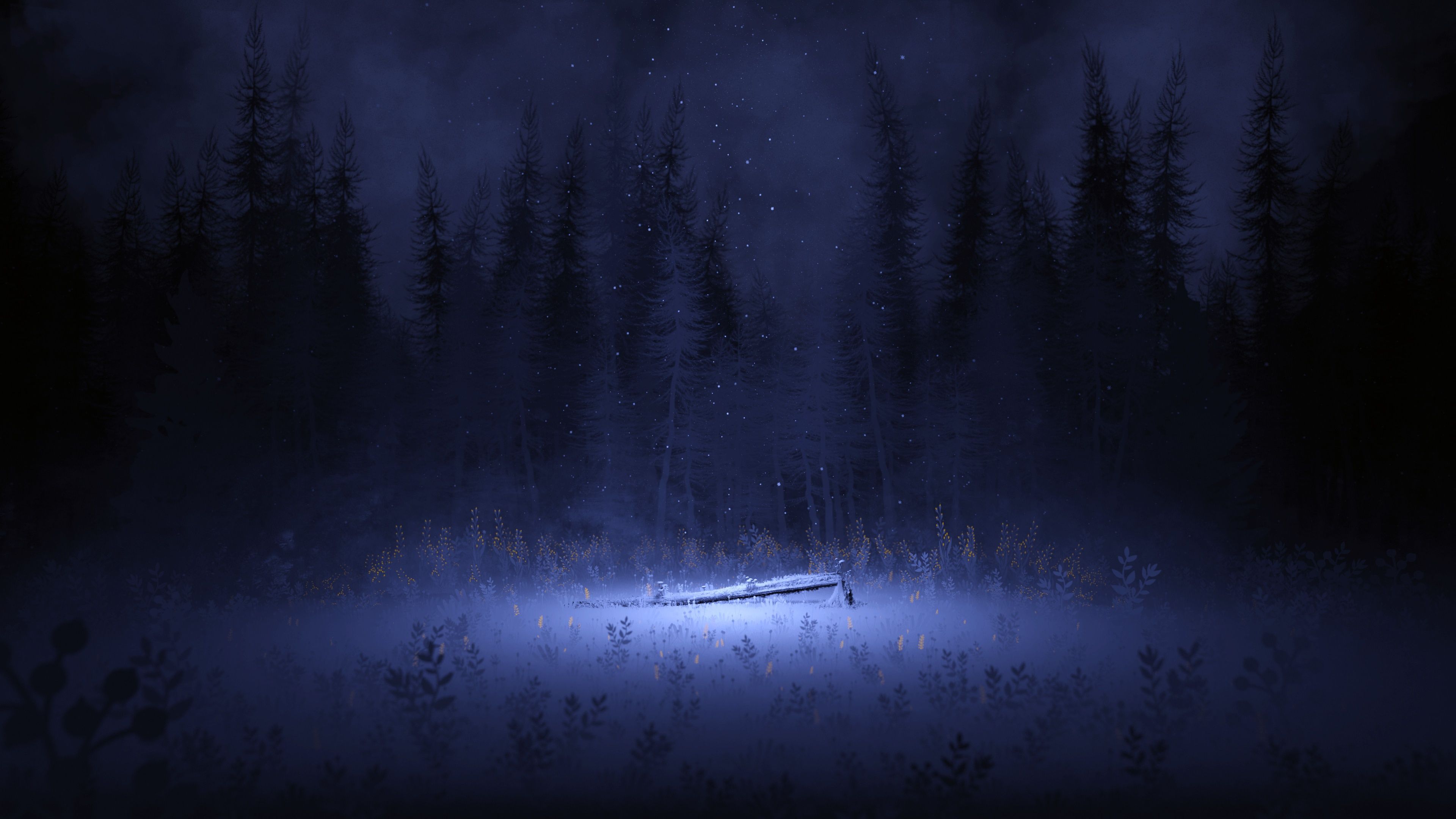 3840x2160 Light Wallpaper 4K, Night, Forest, Winter, Foggy