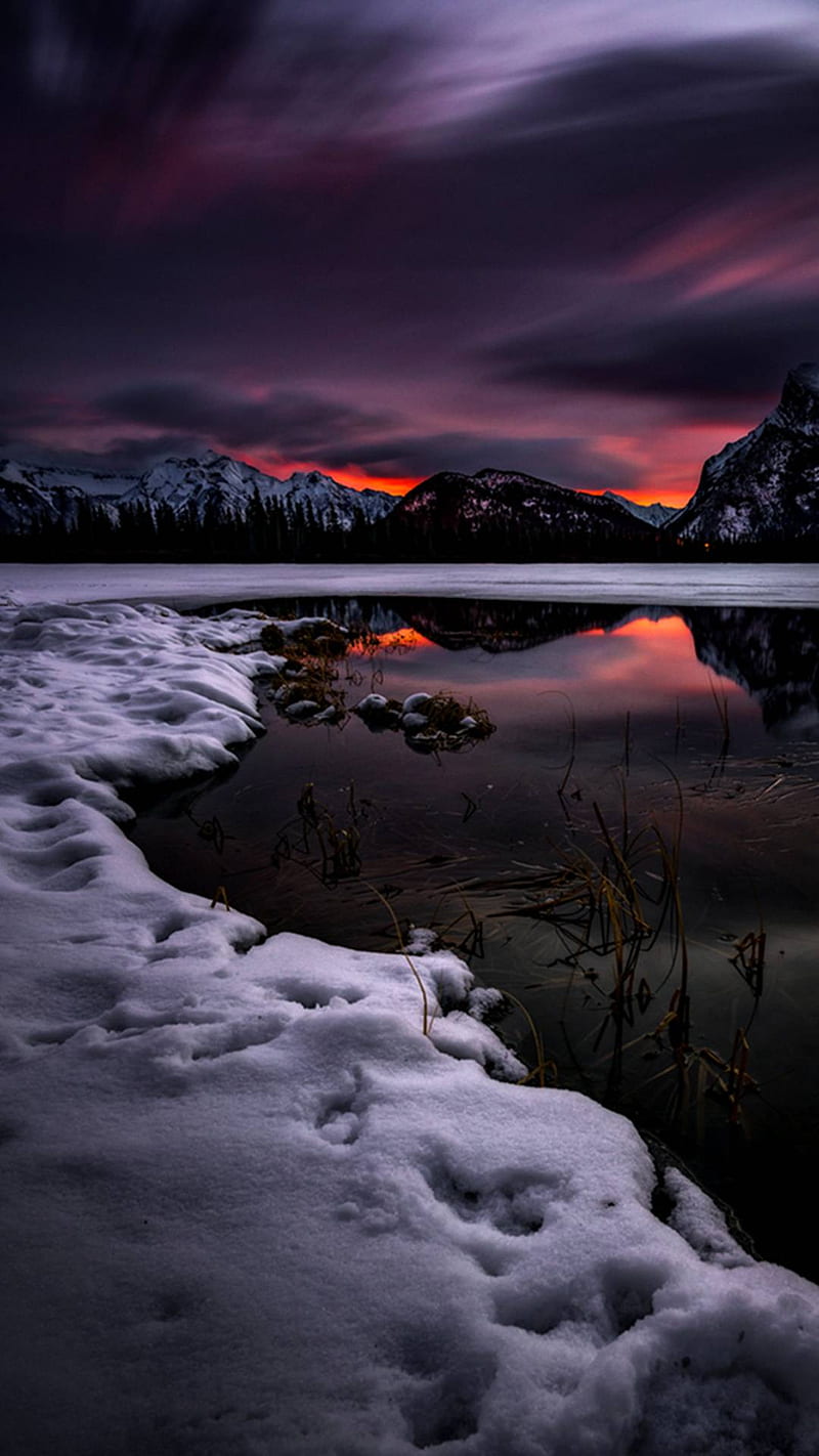 800x1422 Winter night seen, winter, winter is here, nature, landscape, beauty, best, nice, HD phone wallpaper