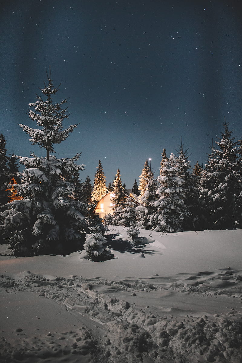 800x1200 Cold Winter, cottage, mountains, night, nightsky, sky, snow, winter, woods, HD phone wallpaper