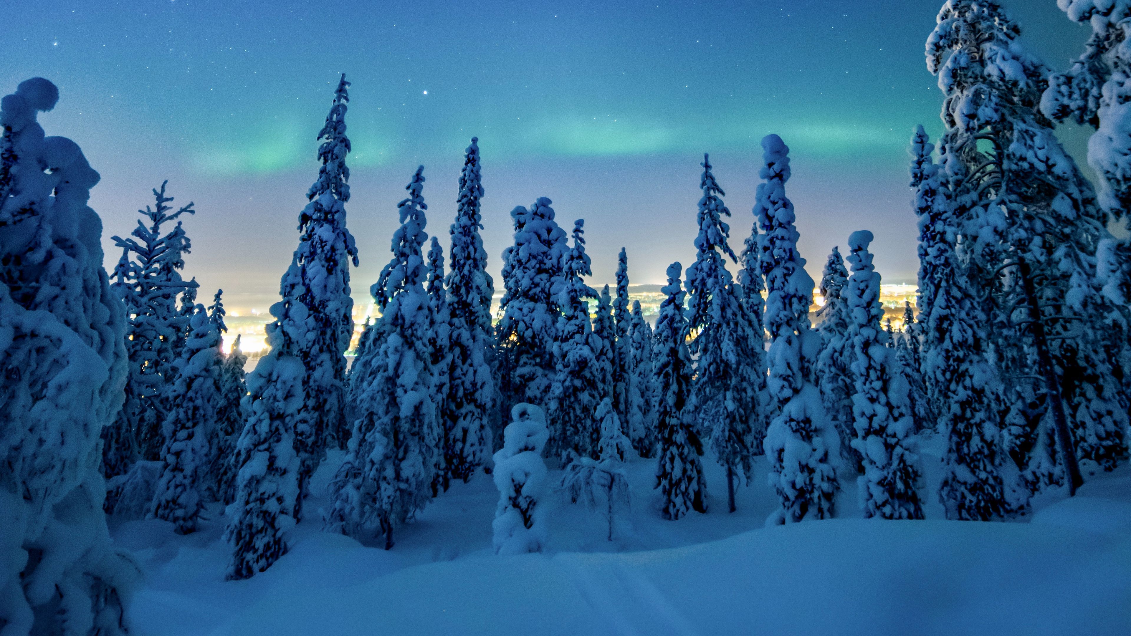 3840x2160 Download wallpaper 3840x2160 trees, snow, winter, night, landscape 4k uhd 16:9 HD background