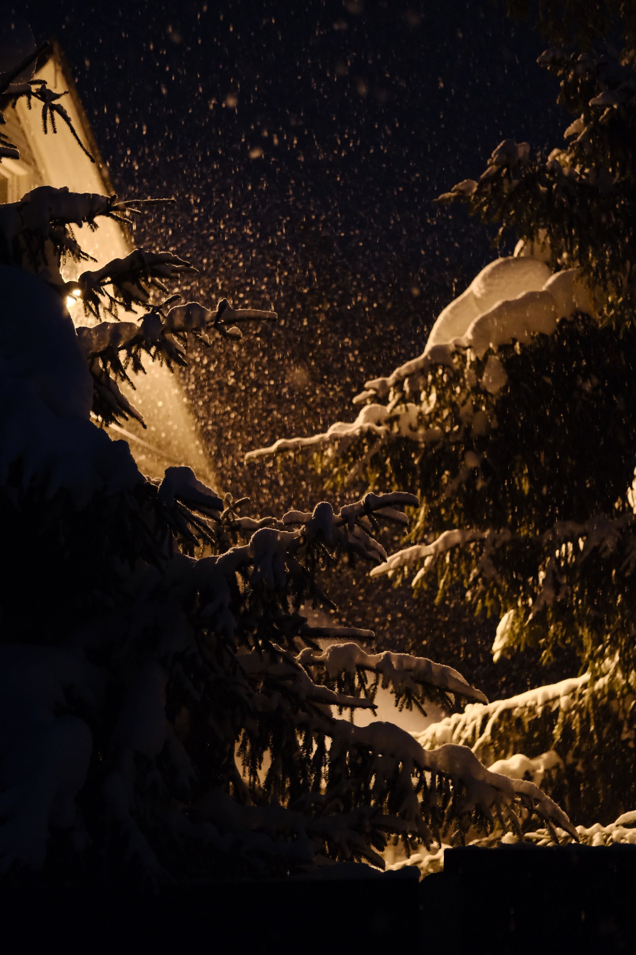 2080x3120 Snowy Night Photo, Download The BEST Free Snowy Night & HD Image
