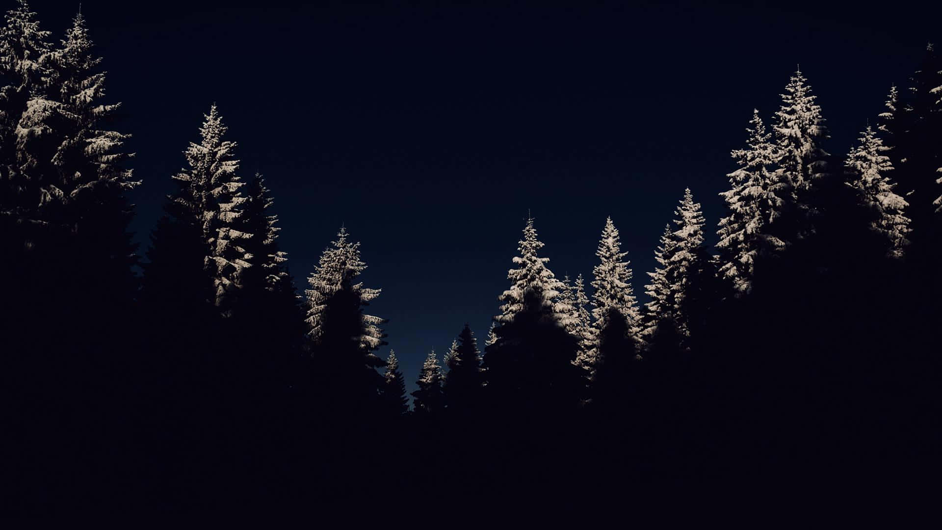 1920x1080 Download This winter night is a magical sight Wallpaper