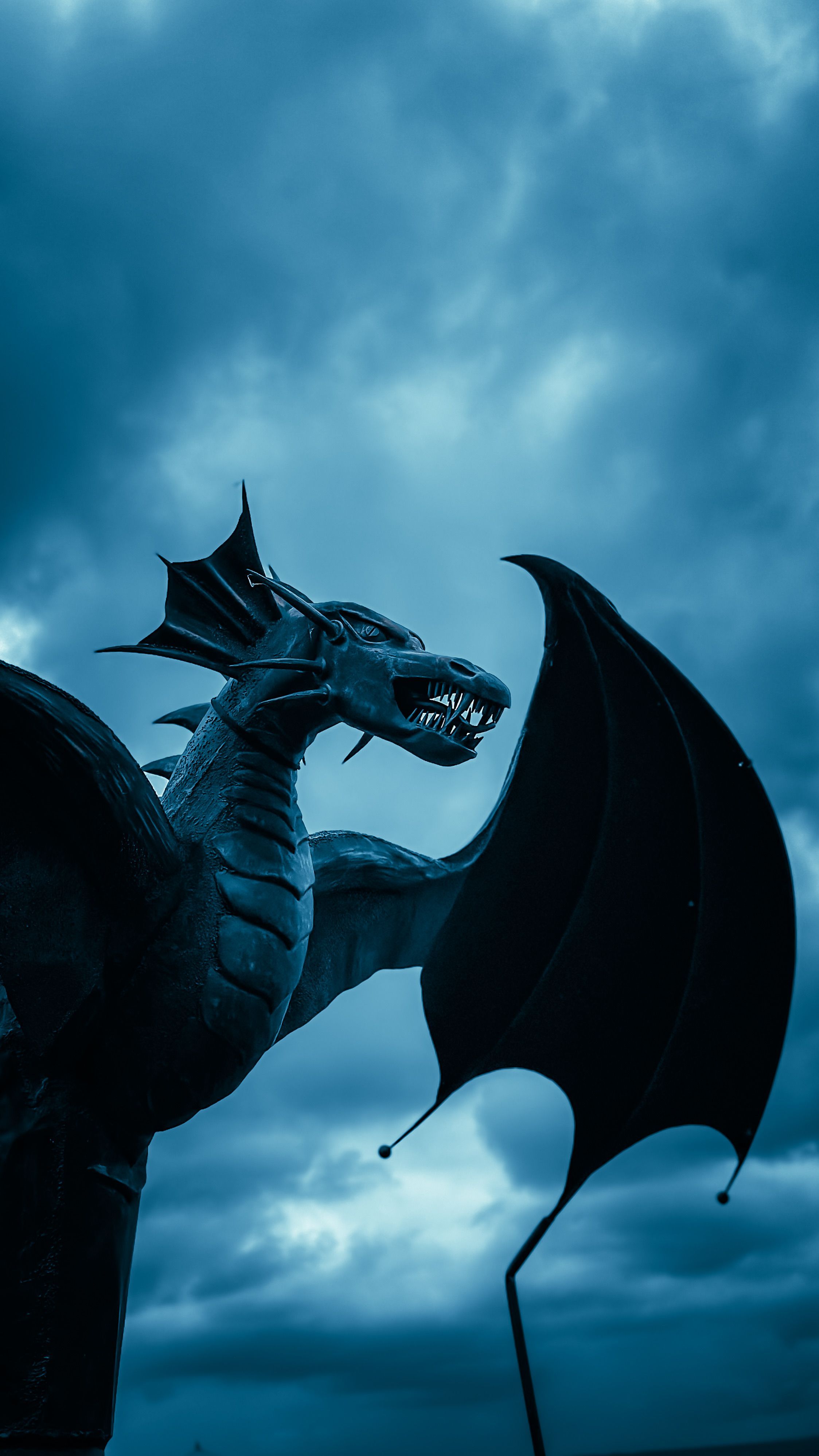 2247x3995 Dragon Wallpaper Photo, Download The BEST Free Dragon Wallpaper & HD Image