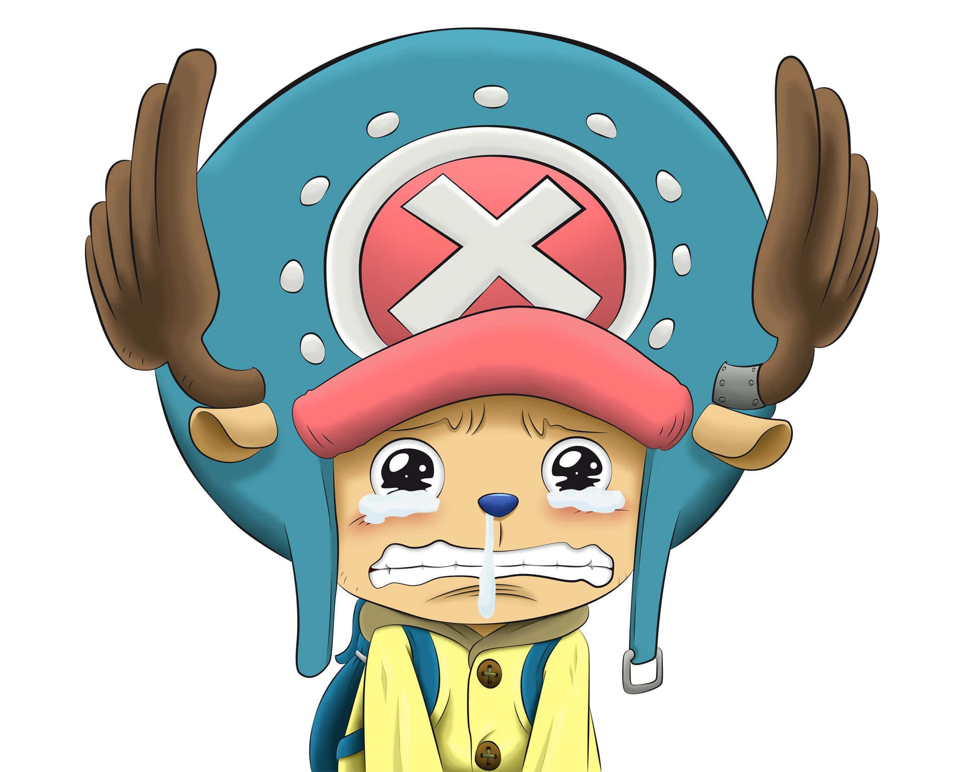 1920x1536 Sad One Piece Chopper Wallpaper