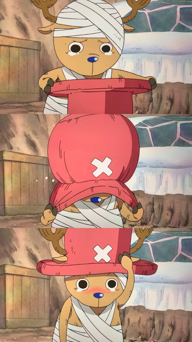 675x1200 Tony Tony Chopper