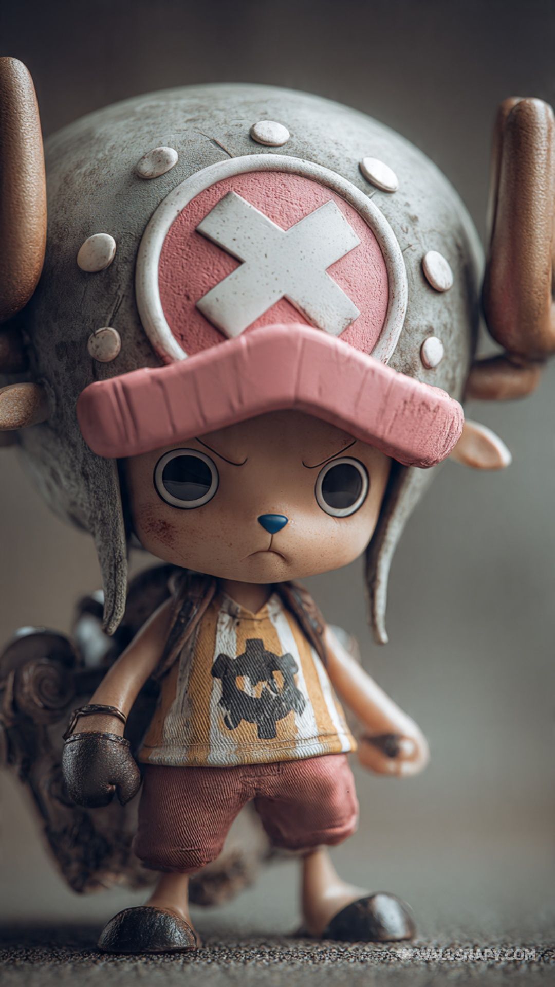 1080x1920 Chopper red hat anime HD portrait mobile wallpaper