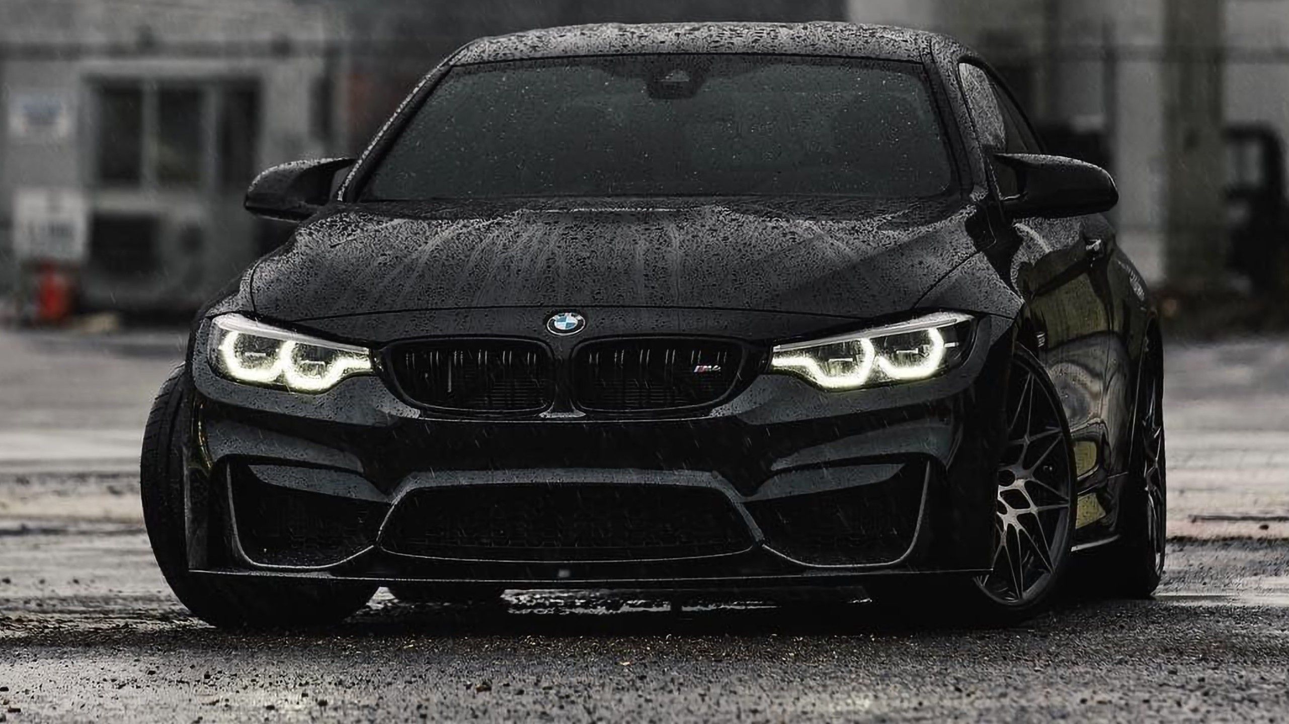 2562x1440 BMW Landscape Wallpaper